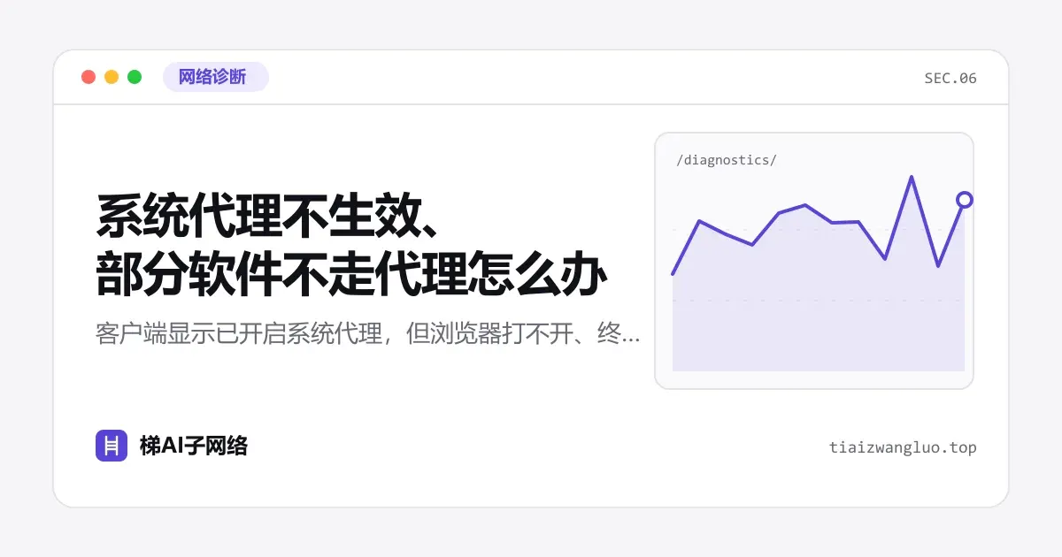 系统代理不生效、部分软件不走代理怎么办