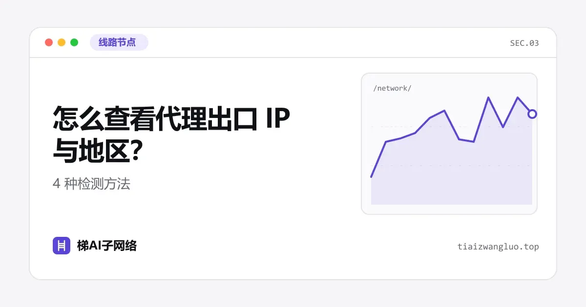 怎么查看代理出口 IP 与地区？4 种检测方法