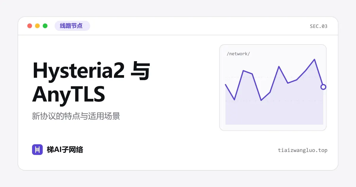 Hysteria2 与 AnyTLS：新协议的特点与适用场景